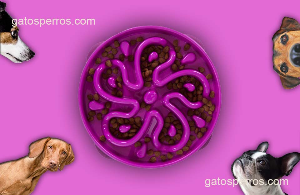 Comedero para perro con ansiedad