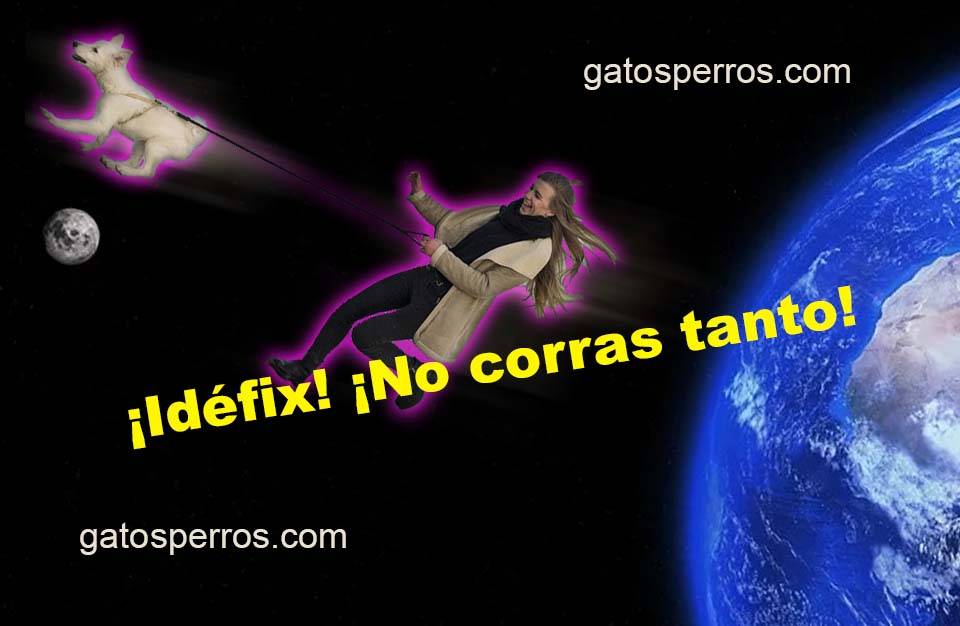 correr con el perro hasta el espacio