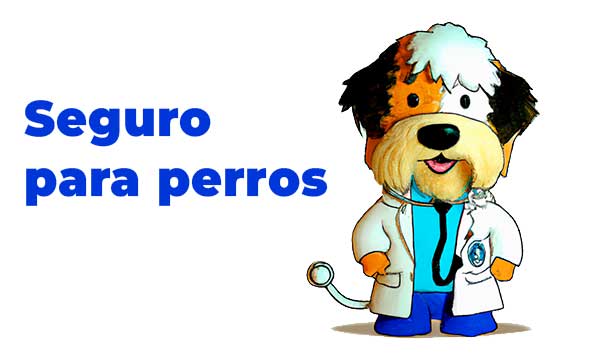 Seguros Perros